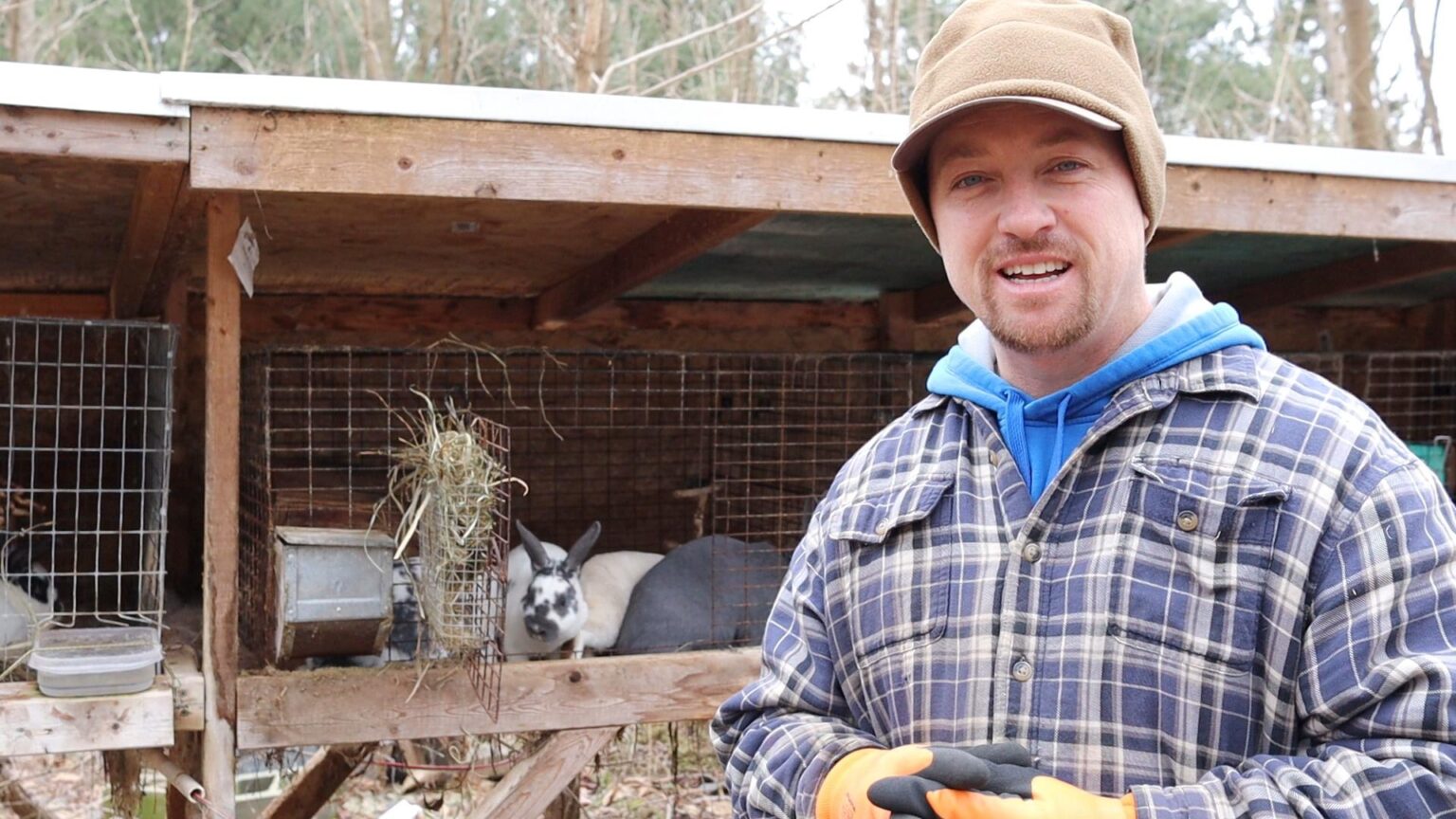 Free Rabbitry Build Plans | Nest Boxes, Hide Boxes & Hutches - The ...