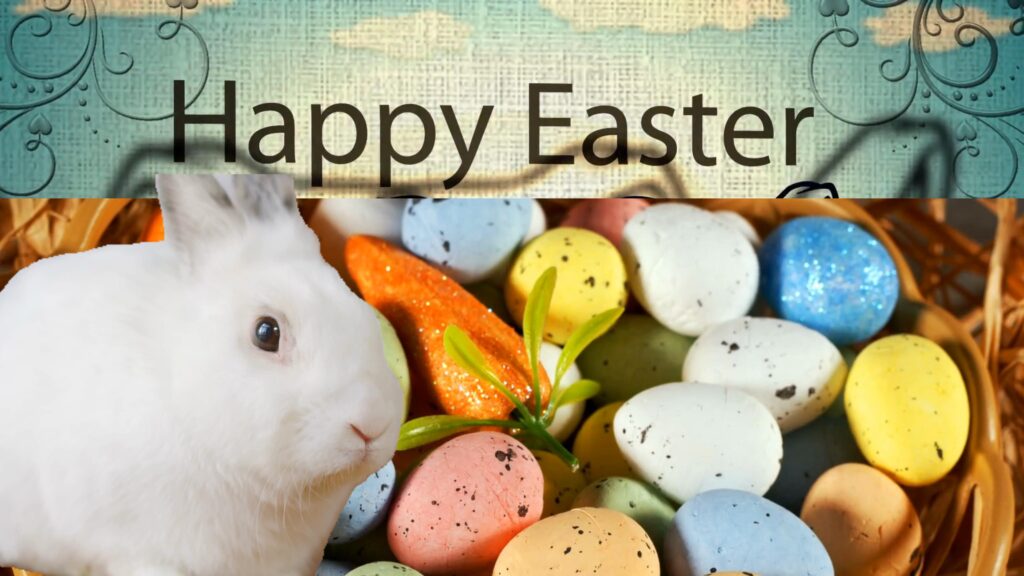 RABBIT COURSE 50 OFF EASTER SALELIMITED TIME ONLY The Rabbitry Center
