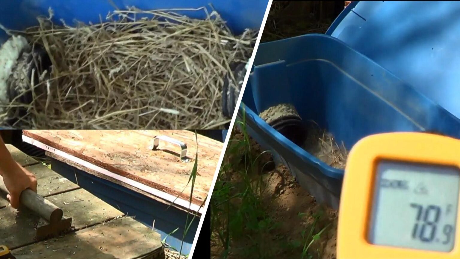 8 Ways to Cool Down Your Rabbits to Maintain Fertility & Longevity ...