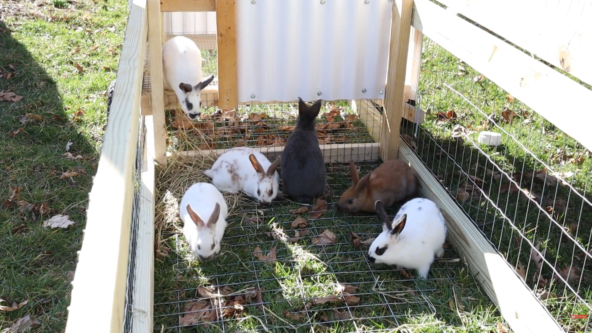 WASHINGTON - The Rabbitry Center