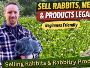 Selling Rabbits & Rabbitry Products.jpg