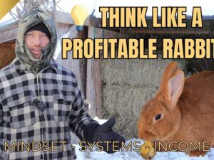 THINK LIKE A PROFITABLE RABBITRY.jpg