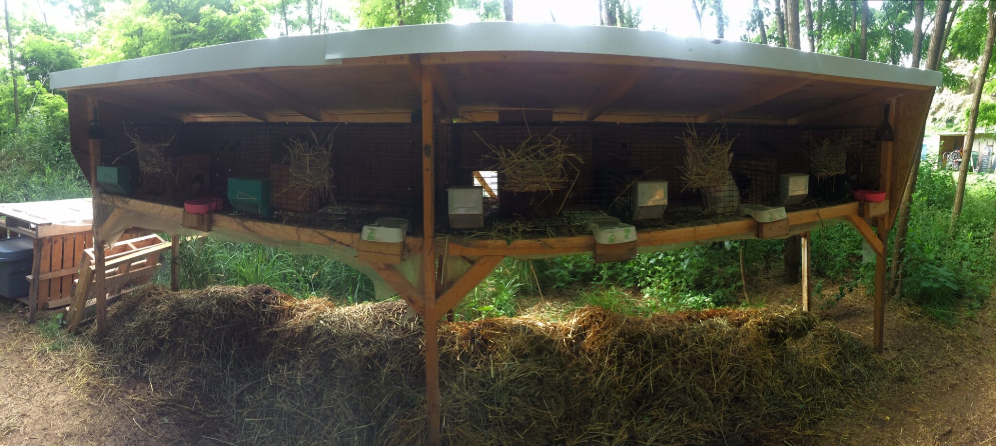 Rabbit Creche Courses - The Rabbitry Center