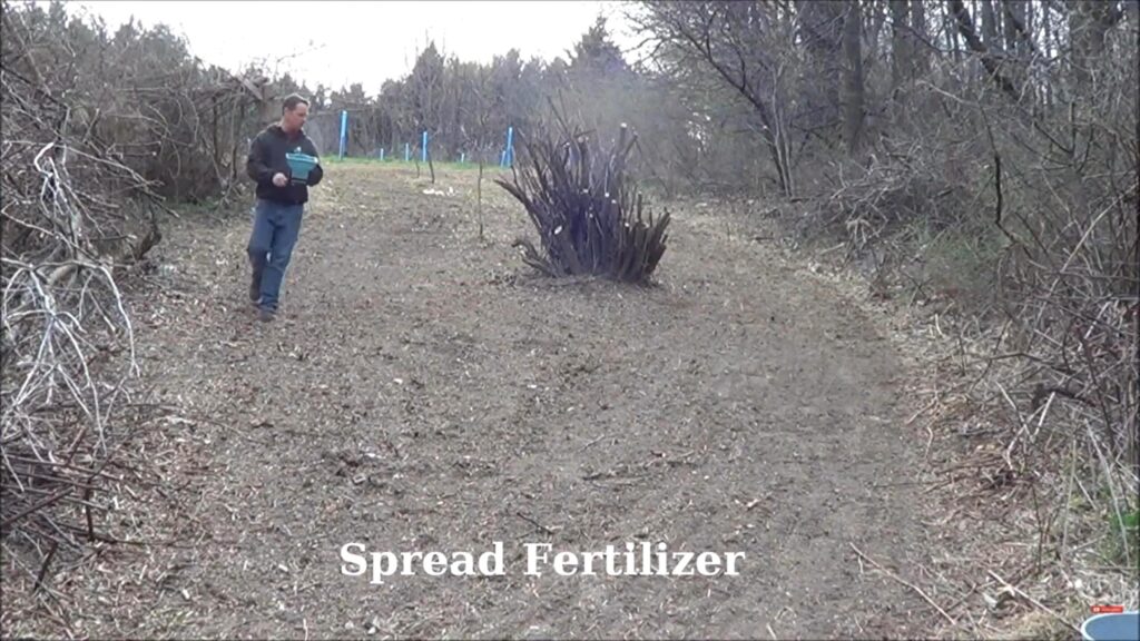 Broadcasting fertilizer before planting food plot seed.