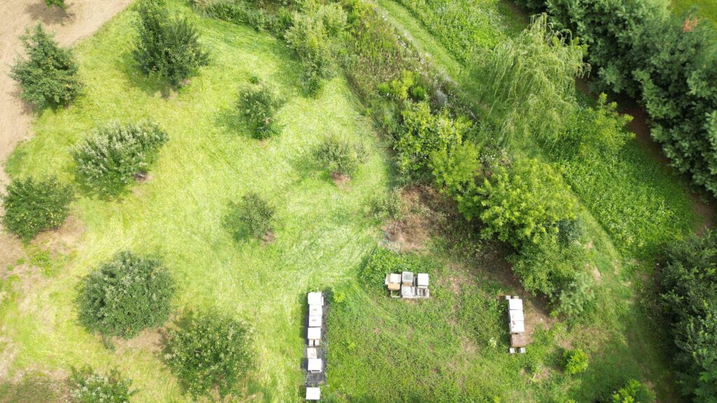 Arial photo of multiple food plots at The Rabbitry Center.