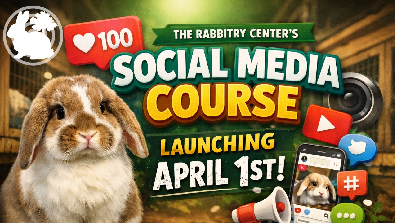 Social Media Course