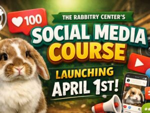 Social media course pic.jpg