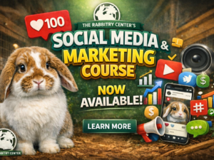 social media and marketing course image.png